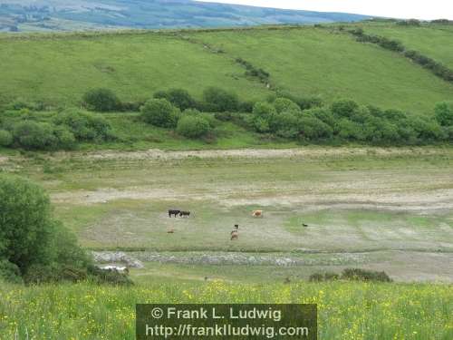 Lough Nasool Drained (2006)